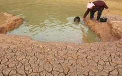 Đà Nẵng đối mặt với khô hạn