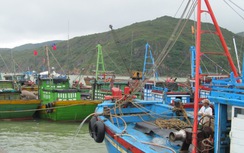 Nhiều tàu cá ra khơi khi chưa đủ trang thiết bị an toàn