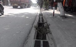 Đường thành sân phơi lúa, rãnh nước chờ nuốt... xe