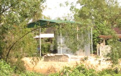 UBND xã cho thuê hành lang QL1