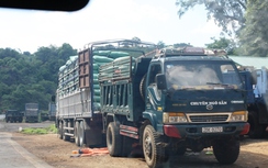 Sơn La: Nhộn nhịp chiêu trò "sang tải" vượt mặt trạm cân