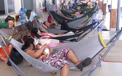 Bệnh nhi tay chân miệng nằm hành lang, gốc cây