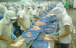 Hợp tác thương mại Việt - Hàn: Nhiều cơ hội mới