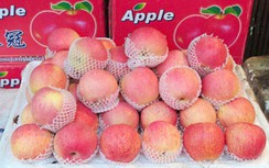 17 lô hàng hoa quả Trung Quốc vượt dư lượng hóa chất