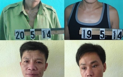 Bắt đối tượng ăn trộm bò, phát hiện ra... ma túy