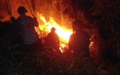 Liên tiếp xảy ra cháy rừng tại Nghệ An