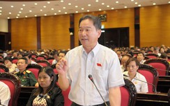 Tiền bạc, tình cảm "vào" tòa thì công lý "ra đi"