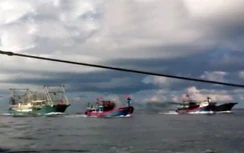 Trực tiếp cảnh Trung Quốc đâm chìm tàu cá Việt Nam