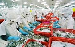 Gần 60% doanh nghiệp Việt mù mờ thông tin về thị trường thế giới