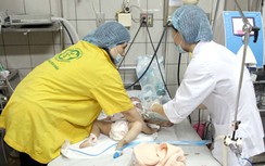 Bệnh viêm não gia tăng, chưa có thuốc đặc trị