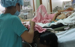 1 người chết, 6 người nhập viện cấp cứu do ăn cá nóc