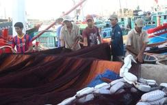 Ngư dân chính thức được hỗ trợ tối đa để vươn khơi, bám biển