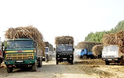 Gia Lai: Xe chở mía phá nát đường liên huyện