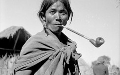 Nhiếp ảnh gia Pháp tặng Việt Nam ảnh quý