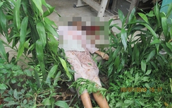 Truy bắt kẻ cầm búa giết bà, mỏ lết đánh mẹ