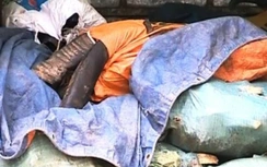 Hơn 1 tấn mỡ, xương, sừng trâu bò thối bị tiêu hủy