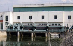 Xác chết lõa thể tại băng chuyền xử lý rác