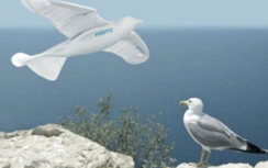 Bất ngờ với robot bay như chim tại Nhật Bản