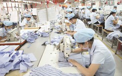 Khi "cậu ấm" vào cuộc chơi sòng phẳng