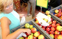 Nga cấm vận nông sản EU, ai hưởng lợi?