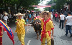 Mưa to, hàng nghìn người vẫn ngồi kín khán đài xem chọi trâu Đồ Sơn