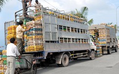 Cấm mọi hình thức buôn bán, vận chuyển gia cầm qua biên giới