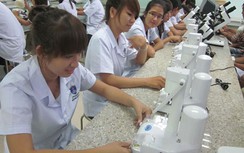 TP HCM chấn chỉnh đào tạo nghề