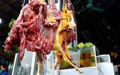 69% người dân từng ăn động vật hoang dã