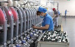 Làm việc tại Khu kinh tế được giảm 50% thuế TNCN