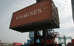 Sẽ đình chỉ cảng biển để lọt xe quá tải