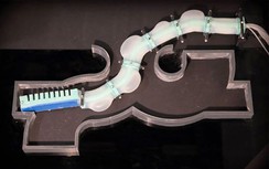 Robot mềm giống bạch tuộc, di chuyển trong môi trường hẹp