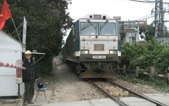 Cận kề tám mươi vẫn cần mẫn làm "cần chắn sống"