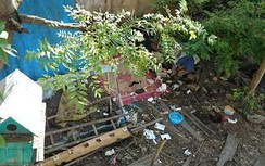 Hải Phòng: Bắt nhanh 3 nghi can giết người cướp của