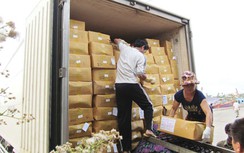 Sẽ cách chức lãnh đạo cảng cho xếp hàng quá tải