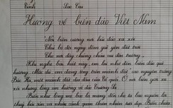 Cậu bé lớp 5 làm xôn xao cư dân mạng qua nét chữ dự thi
