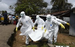 Việt Nam chuẩn bị diễn tập quy mô đối phó với dịch bệnh Ebola