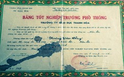 Cách chức chủ tịch xã dùng bằng giả