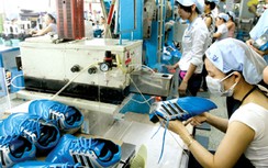 Doanh nghiệp FDI xuất siêu 7,15 tỷ USD