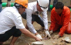 Ồ ạt trục vớt trái phép cổ vật từ xác tàu đắm