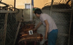 Đột nhập công ty cũ lấy trộm 47kg dây điện đồng