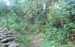 Nghi án thiếu nữ bị hiếp dâm tập thể trên đường đi xem xiếc