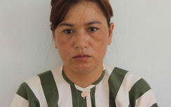 Bắt tạm giam "nữ quái" lừa đảo chiếm đoạt hơn 20 tỷ đồng