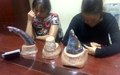 Phát hiện 7kg sừng động vật nghi sừng tê giác nhập lậu