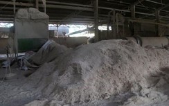 Nhà máy sản xuất gỗ ván ép gây ô nhiễm khu dân cư