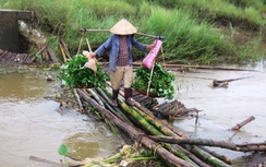 Cả làng đánh cược mạng sống với "thủy thần"
