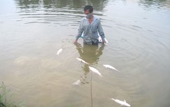 Dân khốn khổ vì nước thải trại giam