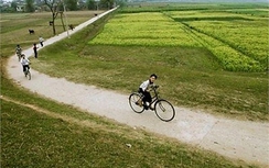 Vì sao lại gọi là con đường, cây cầu?