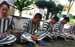 Bình Dương bắt nhóm trộm, cướp giật điện thoại táo tợn