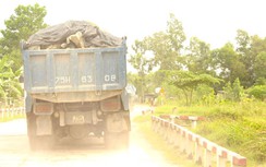 Ký cam kết, vẫn ngang nhiên chở quá tải