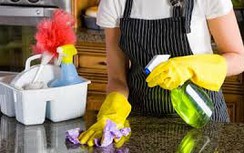 Người giúp việc vẫn chưa được ký hợp đồng